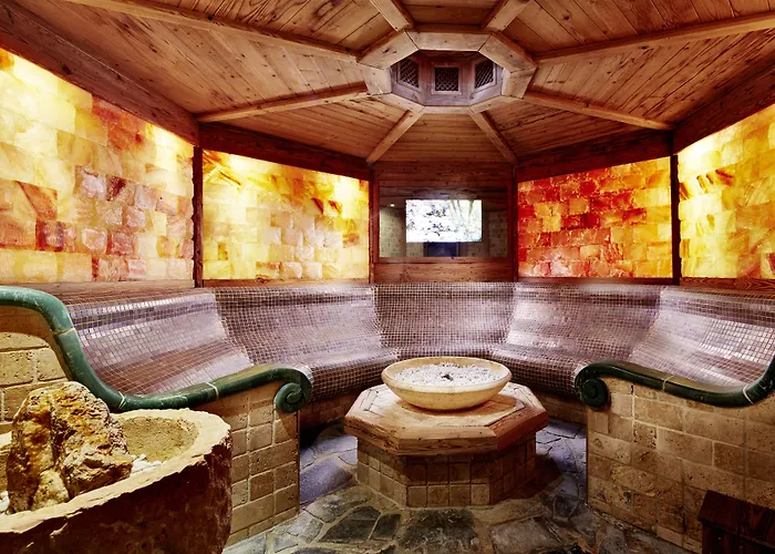 酒店 查特奥斯加德霍夫里莱斯酒店 施图拜河谷新施蒂夫特